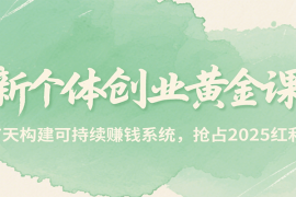 新个体创业黄金课，7天构建可持续赚钱系统，抢占2025红利