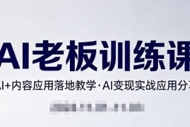 内容AI老板训练课，AI 内容应用落地教学，AI变现的实战应用分享