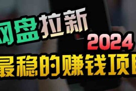 （9854期）创业粉＋网盘拉新 私域全自动玩法，傻瓜式操作，小白可做，当天见收益