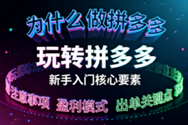 新手小白如何做拼多多