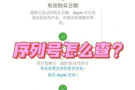 苹果序列号官网查询(苹果序列号官网查询结果)