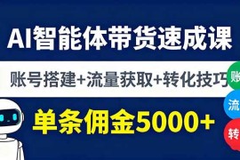 （16073期）AI智能体带货速成课，账号搭建 流量获取 转化技巧，单条佣金5000 
