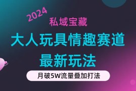 （11541期）私域宝藏：大人玩具情趣赛道合规新玩法，零投入，私域超高流量成单率高