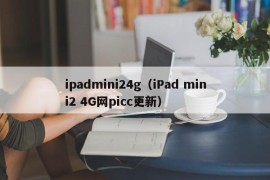 ipadmini24g（iPad mini2 4G网picc更新）