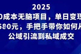 0成本无脑项目，单日变现多张，手把手带你如何从公域引流到私域成交