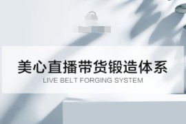 直播带货锻造体系课，5G时代美心一站式帮你开启直播带货之路【音频】