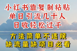 你还在做小红书图文带货和接商单吗，限流就算了，还不赚钱，现在最变态的赚钱方法，还得是暴力引流，私域变现