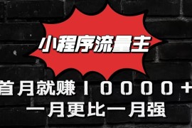 小程序流量主首月就赚10000 ，一月更比一月强！小本创业首选