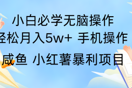 全网首发2024最暴利手机操作项目，简单无脑操作，每单利润最少500 