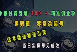 小额付费引爆 300   精准创业粉，零剪辑、零复杂起号，话术撬动被动引流，当日实操即见成效