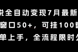 小说全自动变现7月玩法，单窗口50 ，可挂100窗口，简单上手，全流程限时公布【揭秘】