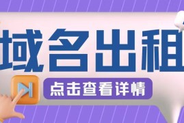 冷门项目，域名出租玩法，简单粗暴适合小白【揭秘】