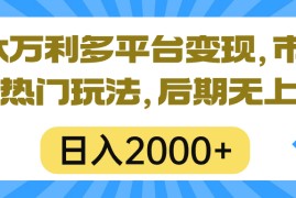 （10311期）一本万利多平台变现，市面所有热门玩法，日入2000 ，后期无上限！
