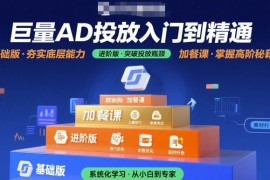 巨量AD投放入门到精通，基础版 进阶版 加餐课