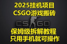 2025挂G项目，CSGO游戏搬砖，保姆级拆解教程，只用手机就可操作【揭秘】