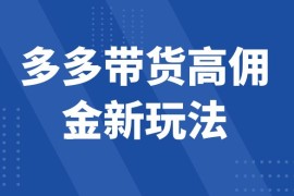 多多带货高佣金新玩法，一天 300 ，亲测玩法，保姆教学
