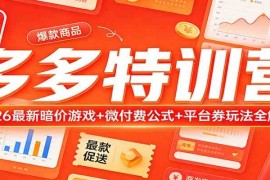 多多特训营（更新3月）：2026最新暗价游戏 微付费公式 平台券玩法全解析