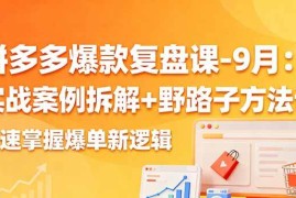 （16176期）拼多多爆款复盘课-9月：实战案例拆解 野路子方法论，快速掌握爆单新逻辑