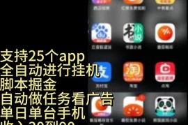（10769期）挂机24小时轻松日入500 ，欢迎大家来对接，特别适合宝爸宝妈工作室学生党