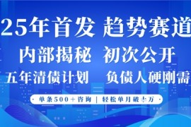 2025年首次公开，真正的事业型赛道，客咨不断，单月轻松破W