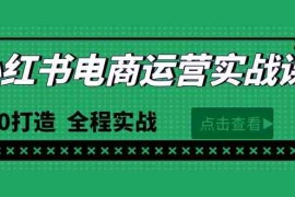 （9946期）最新小红书·电商运营实战课，从0打造 全程实战（65节视频课）