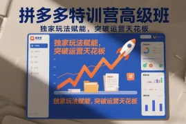 拼多多特训营高阶班，独家玩法赋能，突破运营天花板(更新260917)