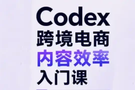 Codex跨境电商内容效率入门课