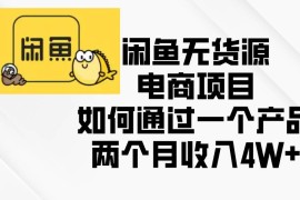 （13658期）闲鱼无货源电商项目，如何通过一个产品两个月收入4W 