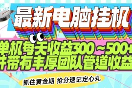 （14264期）最新电脑挂机单机每天收益300-500  并带有团队管道收益