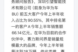华为上半年财报(华为上半年财报2021)