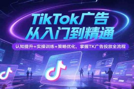TikTok广告从入门到精通，认知提升 实操训练 策略优化，掌握TK广告投放全流程