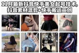 11月最新抖音快手美女起号技术，抖音素材混剪 快手搬运二创