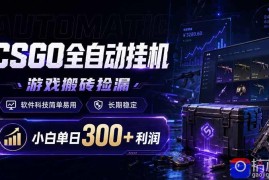 CSGO全自动挂机，游戏搬砖捡漏，软件科技简单易用，长期稳定，小白单日300 利润