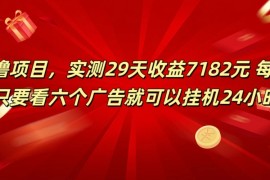学生必备0撸项目，实测29天收益7182元！每天只要看六个广告就可挂机24小时
