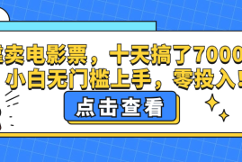 （12665期）靠卖电影票，十天搞了7000 ，小白无门槛上手，零投入！