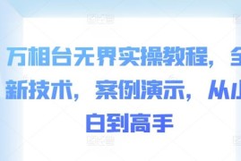 万相台无界实操教程，全新技术，案例演示，从小白到高手