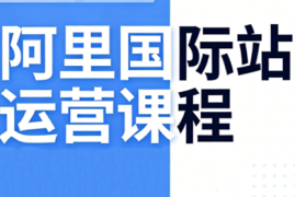张国儒·阿里国际站运营课程(更新2026)