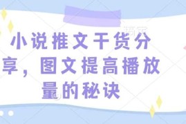 小说推文干货分享，图文提高播放量的秘诀
