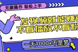 无脑操作，发视频就能赚钱，不看播放不看粉丝，小白轻松上手，一天1000 不是梦