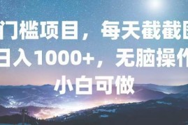 （13160期）0门槛项目，每天截截图，日入1000 ，轻松无脑，小白可做