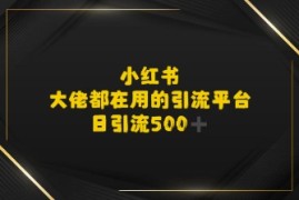 小红书，大佬都在用的大粉平台，日引流500 