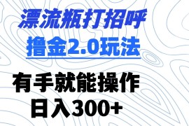 漂流瓶打招呼撸金2.0玩法 有手就能做  日入300 