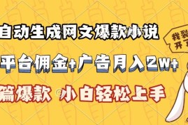 （15390期）AI自动生成网文爆款小说，小说平台佣金加广告月入2w ，篇篇爆款，小白…