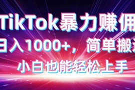 （14402期）TikTok搬运暴力赚佣，日入1000 ，简单搬运，小白也能轻松上手
