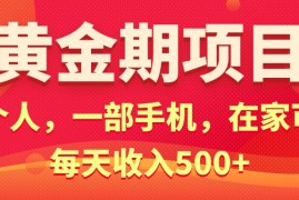 （11527期）黄金期项目，电商搞钱！一个人，一部手机，在家可做，每天收入500 