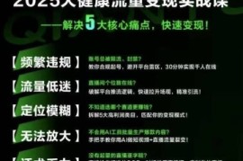 大健康流量全域新增长8.0，三月底线下课视频，大健康万亿蓝海，从类目突围到模式迭代