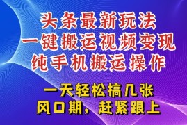 今日头条最新玩法，一键搬运视频也能轻松变现，随随便便就爆百W流量，新风口新玩法