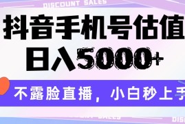抖音手机号估值，日入5000 ，不露脸直播，小白秒上手