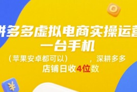 拼多多虚拟电商实操运营，一台手机(苹果安卓都可以)，深耕多多店铺日收4位数