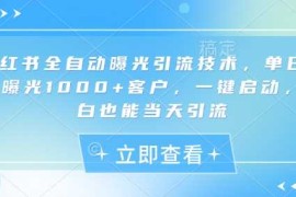 小红书全自动曝光引流技术，单日精准曝光1000 客户，一键启动，小白也能当天引流【揭秘】